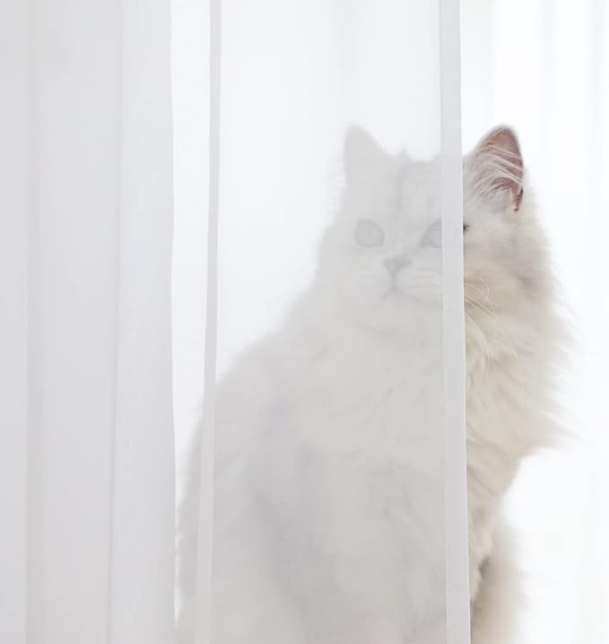 Basic White Sheer Curtains - 2 Panel, 90" L x 52" W | Bedroom, Living Room, Kitchen