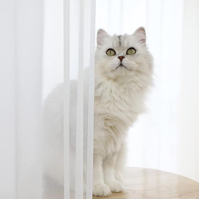 Window White Sheer Curtains 60 Inches Width 130 Inches Long 2 Panels Sheer Curtain Clear Curtains Basic Rod Pocket Panel for Home Living Room Bedroom Kids Room Yard Patio Parlor Sliding