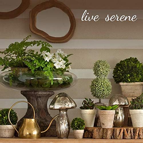 Serene Spaces Living 5in Clear Ribbed Glass Votive Holder, Decorative Centerpiece for Wedding, Christmas, Thanksgiving, Dining Table, Living Room, Home Décor, 3.5" Diameter & 5" Tall, Pack of 24