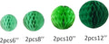 8pc Honeycomb Balls Party Decorations 6''8''10''12'' Tissue Paper Pom