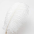 Large Ostrich Feathers – White, 24Pcs 12-14inch Large Feathers