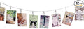 TFu Wall Hanging Photo Display, DIY Picture Photo Frame String with 12 Clips for Hanging Photos Notes and Artworks (Moon & Star)
