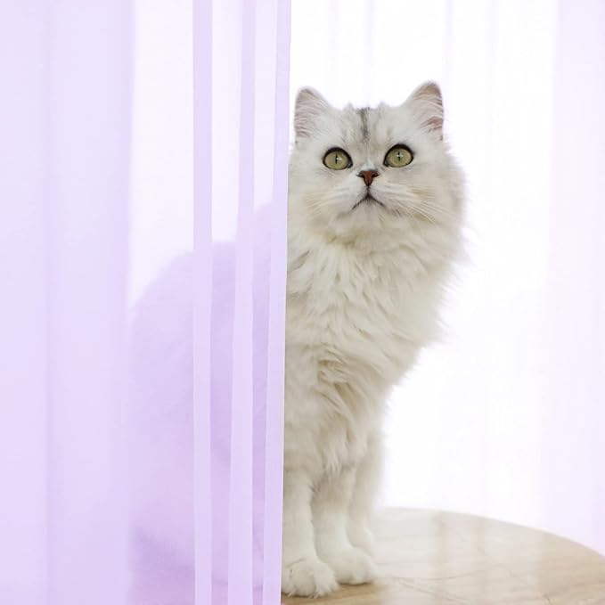 Window Purple Sheer Curtains 60 Inches Width 90 Inches Long 2 Panels Sheer Curtains Clear Curtains Basic Rod Pocket Panel for Home Living Room Bedroom Kids Room Yard Patio Parlor Sliding