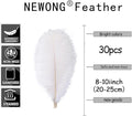 Green Ostrich Feathers Natural Bulk 8-10inch(20-25cm) Vase, 30pcs – Blue
