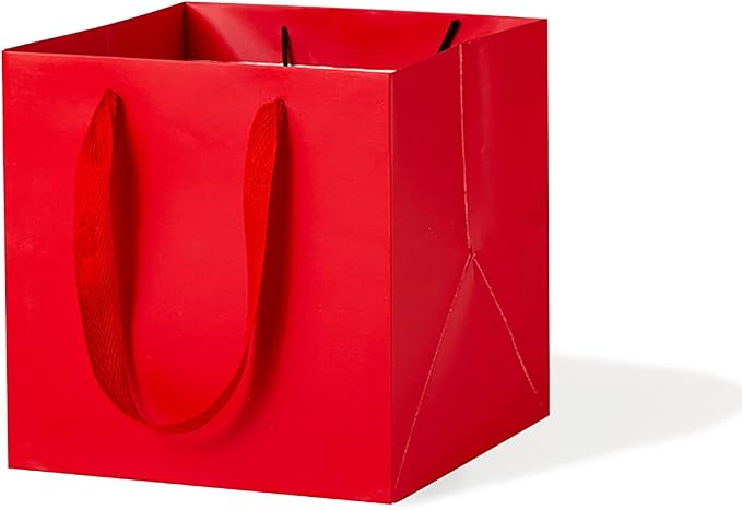 Red Paper Gift Bag Small Square Bottom Kraft Paper Bags with Handles for Wedding Baby Shower Birthday Party (Red, 8 x 8 x 8 in, 10 CT)