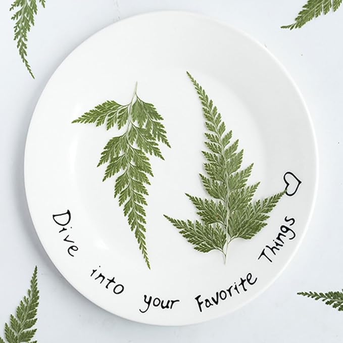 48 Pcs Dried Pressed Flowers Leaves Ferns for Crafts Art Resin DIY Natural Dry Green Leaf Epoxy Jewelry Real Rose Flower Decor Cakes Phone Cases Bookmarks Candles Handmade Soap Ferns