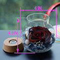 Preserved Real Roses with Colorful Mood Light Wishing Bottle, Eternal