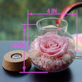Preserved Real Roses with Colorful Mood Light Wishing Bottle