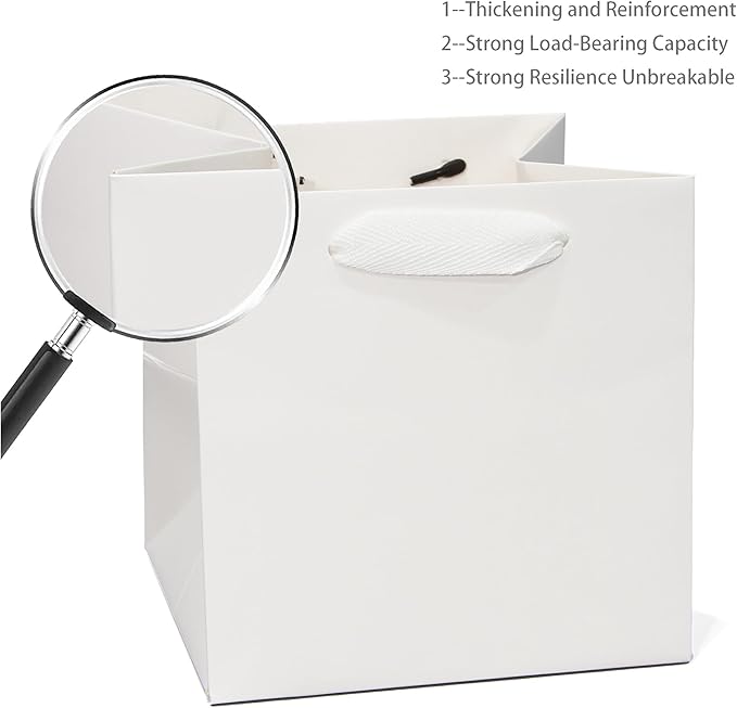 White Paper Gift Bag Small Square Bottom Kraft Paper Bags with Handles for Wedding Baby Shower Birthday Party (White, 8 x 8 x 8 in, 10 CT)