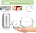 Glass Bubble Vases, 24 Pack, 4"W x3"H Set, Small Flower Bud Vases Bulk