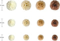 Tissue Paper Pom Poms, 12 Pack in Brown, Beige, Ivory and White