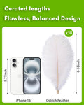 Ostrich Feathers Natural Bulk 8-10inch(20-25cm) Vase Craft, 30pcs – White
