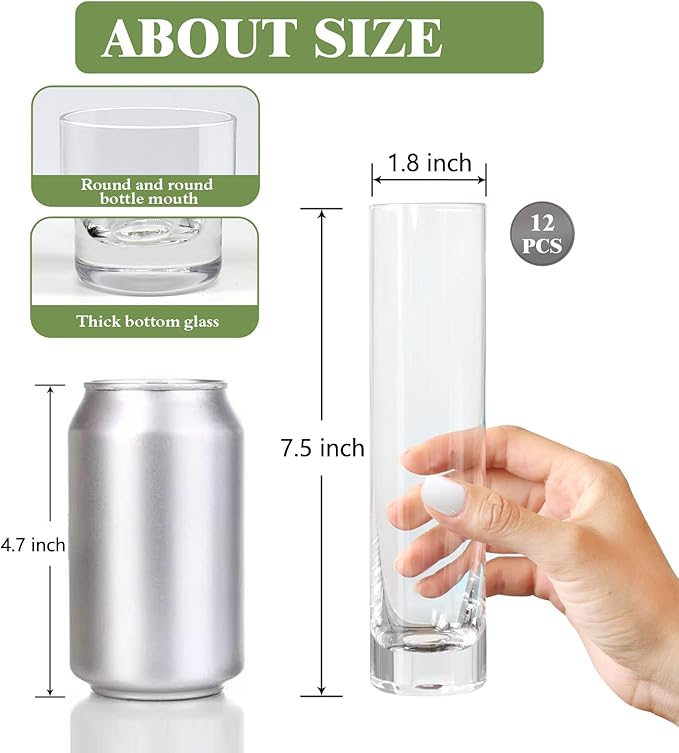 Cylinder Bud Vases, 12 Pack Clear Glass 7.5 Inch Tall