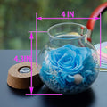 Preserved Real Roses with Colorful Mood Light Wishing Bottle, Eternal
