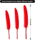 Goose Cochettes Feather Natural Bulk 4-6 Inch 10-15cm, 120pcs – Red
