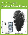 Ostrich Feathers Natural Bulk 11-14inch(28-35cm) Vase, 30pcs – Black