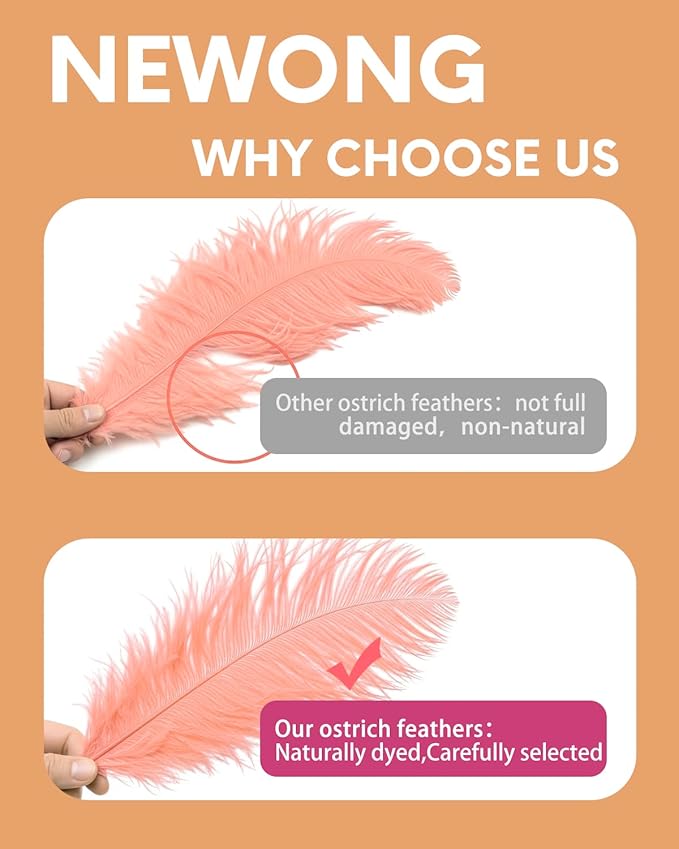 NEWONG 30pcs Rouge Pink Ostrich Feathers Natural Bulk 9-12in（23-30cm） Vase Craft Wedding Home Party Centerpieces Christmas Day Decoration