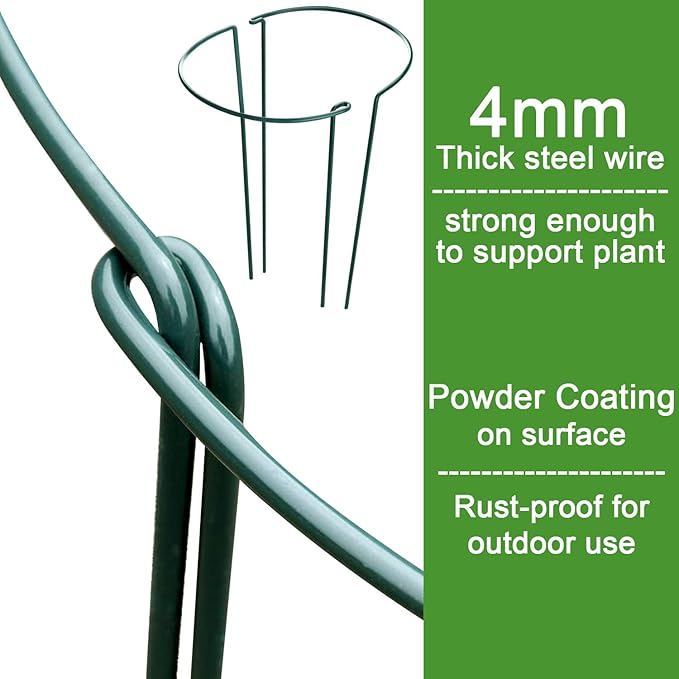 HiGift 6 Pack 24 Inch Plant Stakes, 10" Wide x 24" High Half Round Metal Peony Cages and Support, Green Garden Plant Stake Plant Support Ring Border for Peony Tomato,Hydrangea,Flower Indoor Outdoor