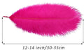 Ostrich Feathers Bulk 12-14 Inches for Centerpieces, 30PCS – Hot Pink