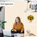 Photography Backdrop for Photoshoot – Cream