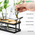 Plant Propagation Stations