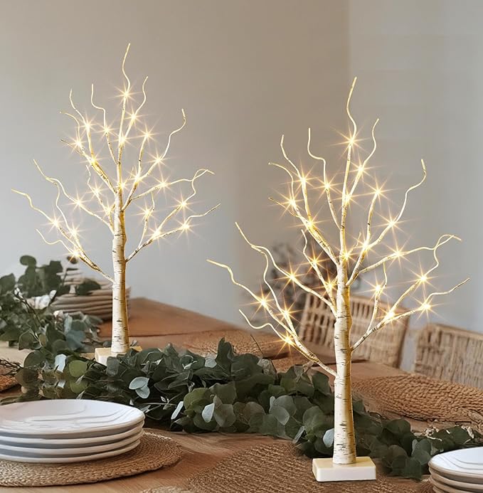 EAMBRITE Lighted Birch Tree Christmas Decorations Indoor for Home, 2Pack 24 LED Battery Operated/USB Tabletop Mini Small Artificial White Trees with Lights for Table Mantel Winter Xmas Decor (2FT)