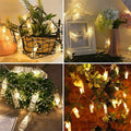 Photo Clip String Lights LED Fairy Clip String Lights Hanging Photo