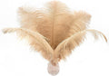 Ballinger Champagne Ostrich Feathers Bulk - 24pcs 10-12inch Boho Feathers for vase and Home Decor Wedding Party Centerpieces