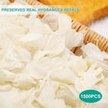 Dried Real Hydrangea Petals