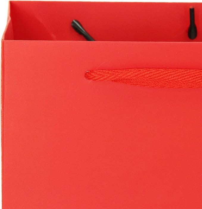 Red Square Gift Bag 10 in Paper Gift Box Large Square Bottom Kraft Paper Bags with Handles for Party Favor, Birthday Gift Bags (Red, 10 x 10 x 10 in, 10 CT)