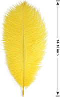 Ostrich Feathers Large Natural Bulk 14-16Inch 35cm-40cm, 12pcs – Yellow