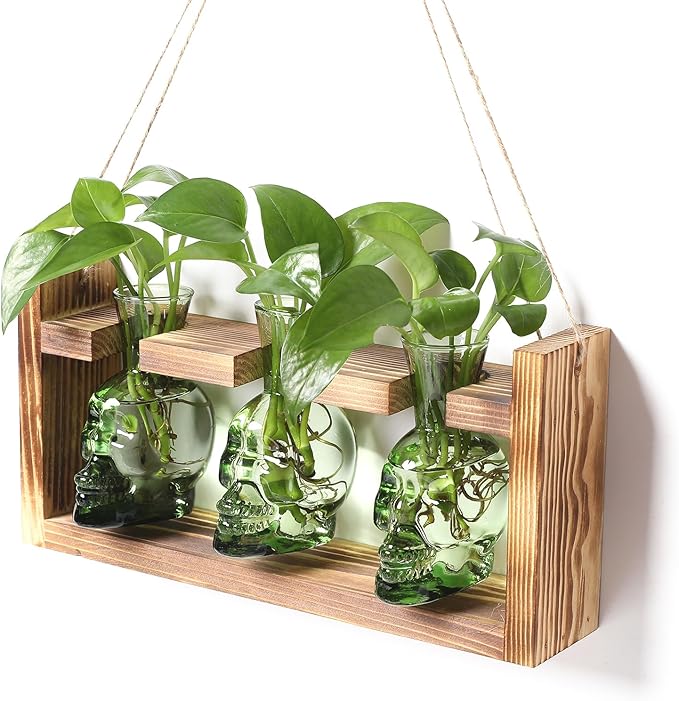 Terrarium Skull Propagation Stations, 3 Glass Vases with Wood Stand