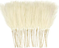 50PCS Faux Pampas Grass, 21.6" Short Artificial Pompous Grass Floral Fake Pompas Grass Branches Vase Filler Flower Arrangement for Home Wedding Boho Decor, Beige