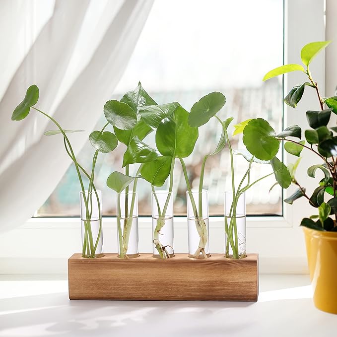 YIBOT Propagation Stations, Plant Terrarium with Wooden Stand, Birthday Gardening Gifts for Women Mom Plant Lovers,Home Office Desk Decor, 5 Glass Test Tubes Vases