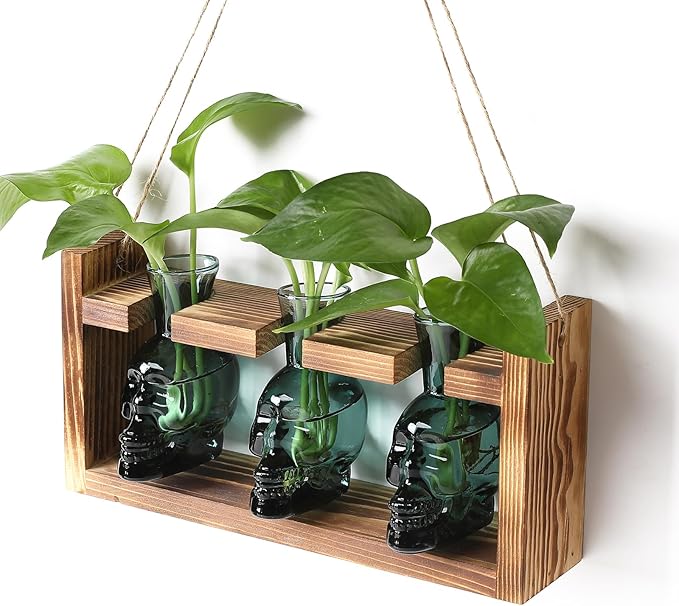 Terrarium Set: Skull Borosilicate Glass Vases, Set of 3 with Wood Stand