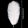 Ostrich Feathers Natural Bulk 10-12Inch 25cm-30cm, 12pcs – White