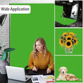 Screen Backdrop – Green, Product Photo Backdrop for Photoshoot