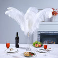Large Ostrich Feathers – White, 28-30 Inch 10pcs Feathers