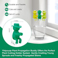 Plant Propagation Buddy, 3 Pcs