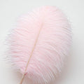 Light Pink Ostrich Feathers 10-12inch (25-30cm), 24pcs – Natural