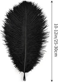 Ostrich Feathers Natural Bulk 10-12Inch 25cm-30cm, 24pcs – Black
