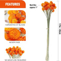 Natural Dried Globe Amaranth Flower with Wheat Straw, 40PCS Bouquet