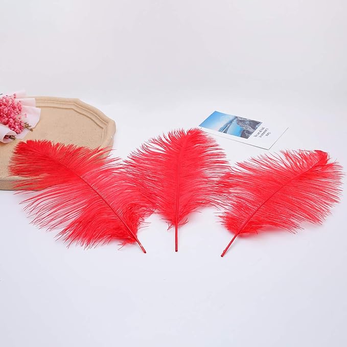 Ballinger Red Ostrich Feathers Bulk - 24Pcs 8-10inch Feathers for Crafts,Party Centerpieces,Wedding and Home Decor