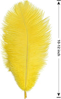 Ostrich Feathers Natural Bulk 10-12Inch 25cm-30cm, 24pcs – Yellow