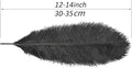 12-14 Inches Ostrich Feathers Bulk for Centerpieces, 30 Pieces – Black