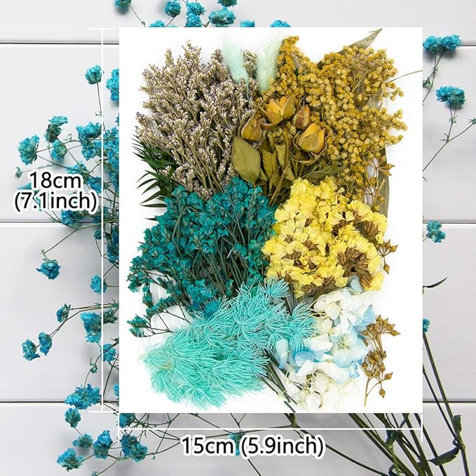 Vignee Real Dried Pressed Leaf Flowers-Multiple Colorful Pressed Flowers Daisies for Craft Resin Jewelry Making Art Craft DIY（Blue & Purple）