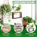 Plant Propagation Station Terrariumin Wall Test Tube Vases Bud