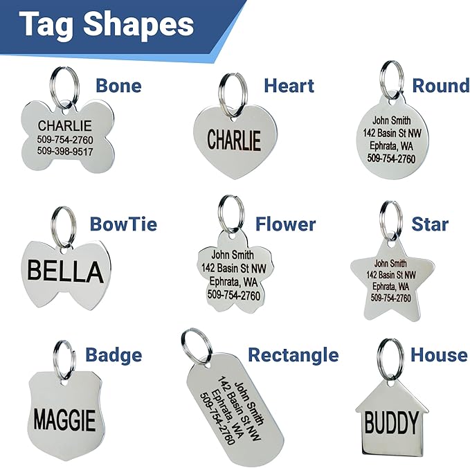 GoTags Stainless Steel Pet ID Tags, Personalized Dog Tags and Cat Tags, up to 8 Lines of Custom Text, Engraved on Both Sides, in Bone, Round, Heart, Bowtie and More (Bow Tie, Small (Pack of 1))