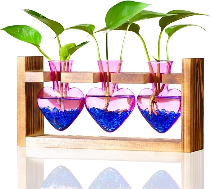 Terrarium Set with Wooden Stand, 3 Glass Bottles and Brush