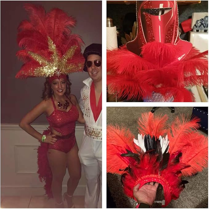 Ballinger Red Ostrich Feathers Bulk - 24Pcs 8-10inch Feathers for Crafts,Party Centerpieces,Wedding and Home Decor